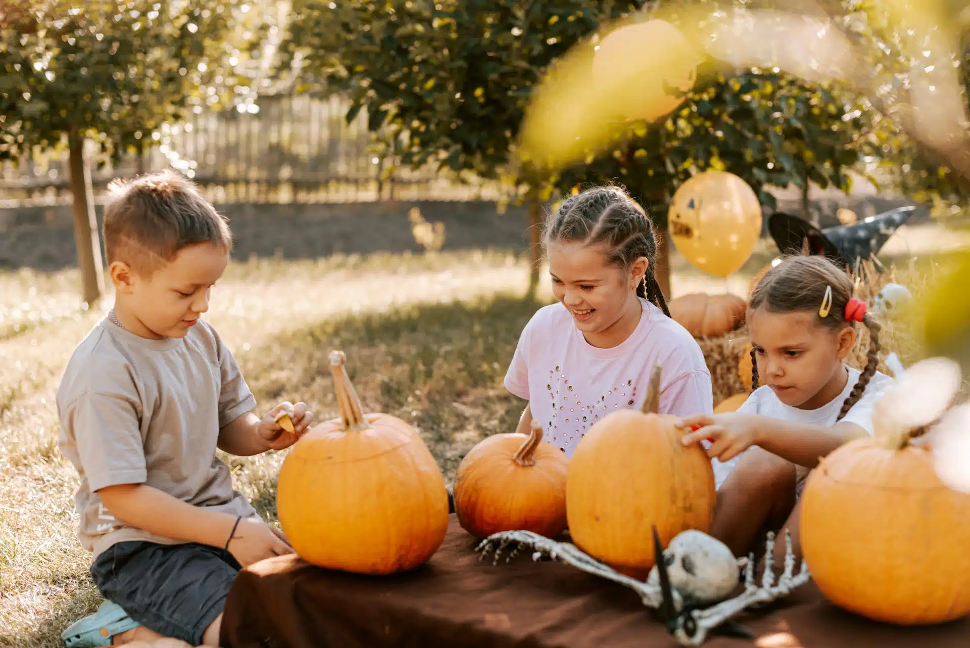 Modify Child Support